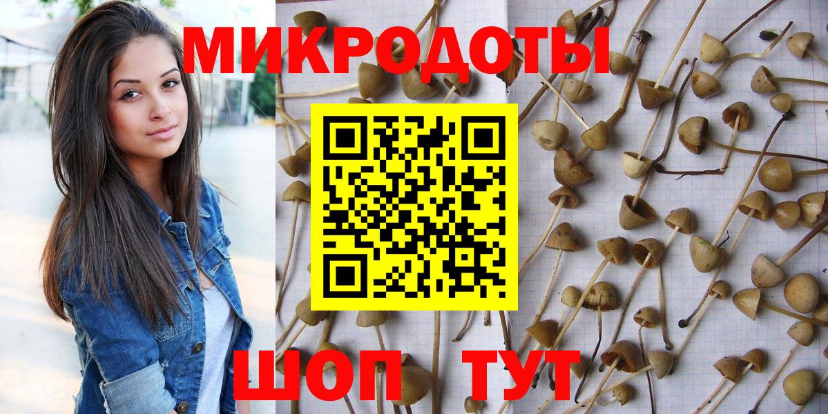 Псилоцибиновые грибы Cubensis  Псилоцибиновые грибы Cubensis  Вход с VPN  Калуга 